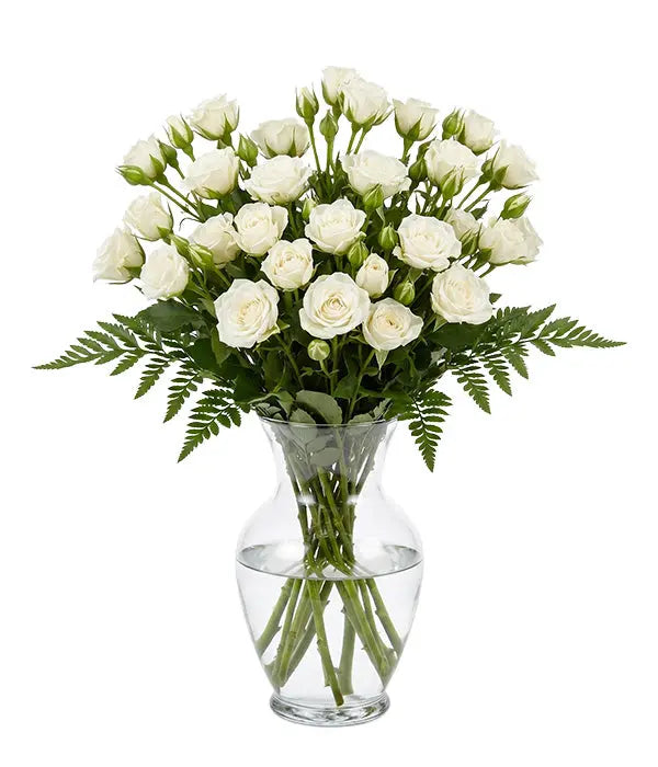 50 Blooms of White Spray Roses Fleur Concept