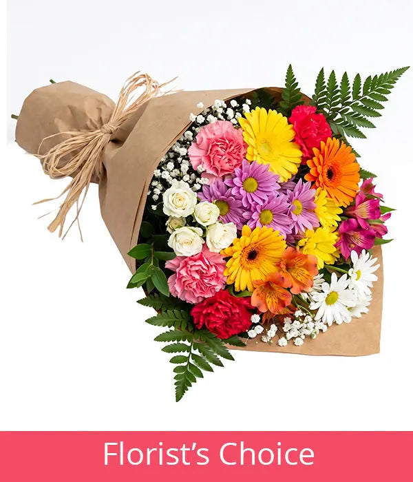 Bright Colours Designer’s Choice Fleur Concept