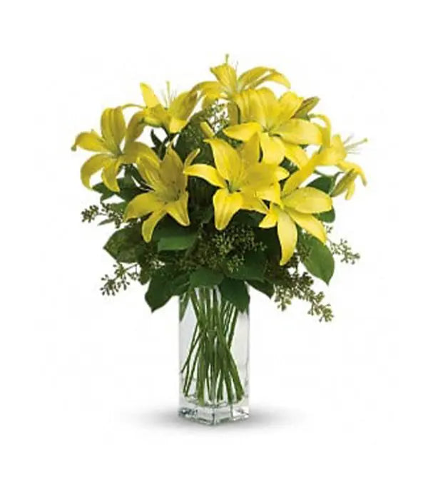 Lily Sunshine Fleur Concept