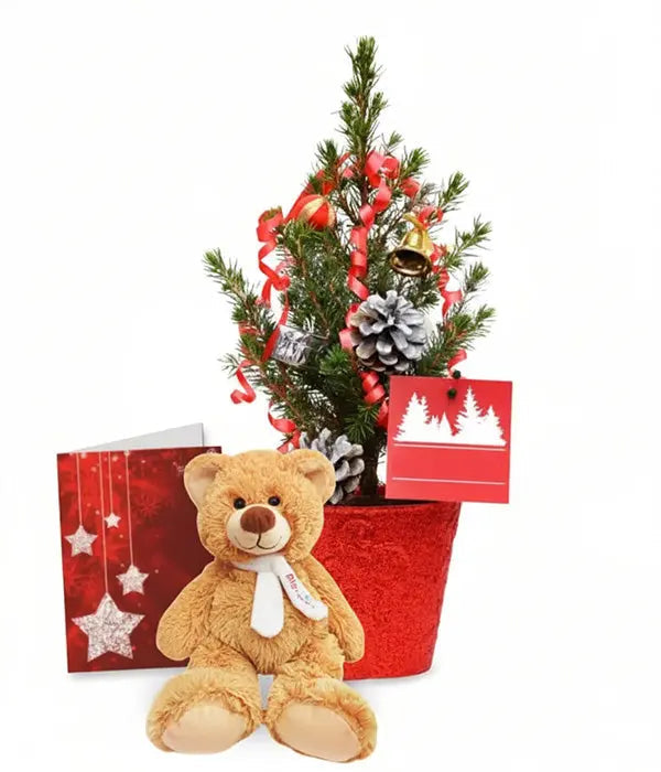 Live Mini Christmas Tree III Fleur Concept