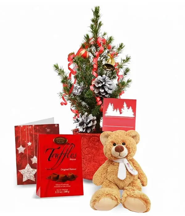 Live Mini Christmas Tree IV Fleur Concept