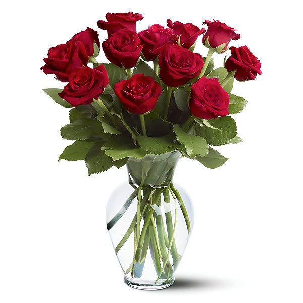 A dozen long-stemmed red roses