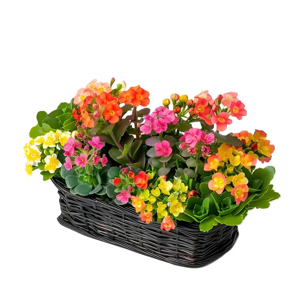 Plantapalooza IV Fleur Concept
