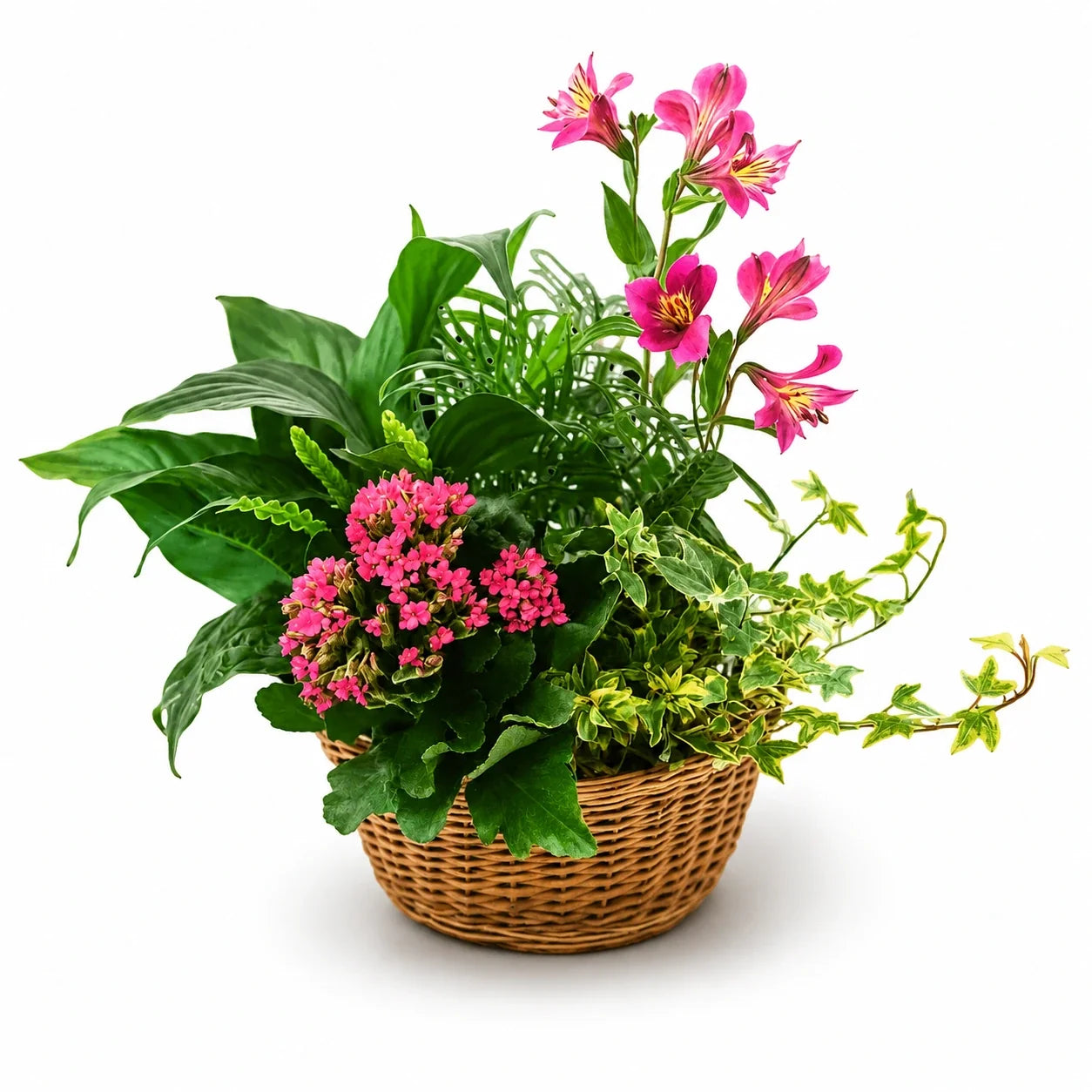 Plantapalooza II Fleur Concept