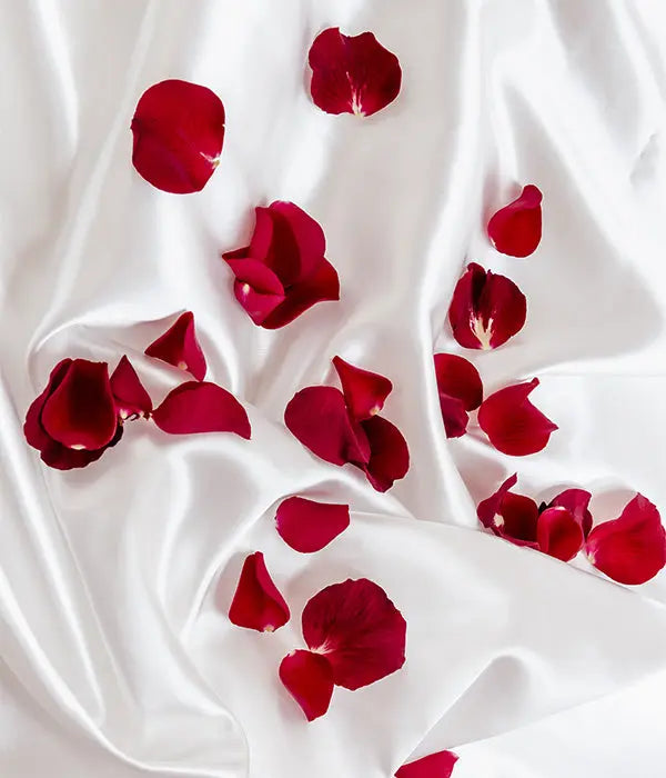 Red Rose Petals Fleur Concept