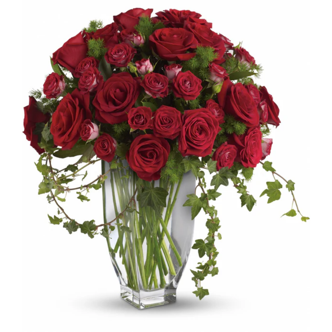 Romantic Rose