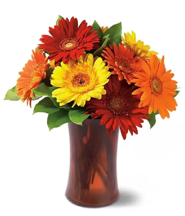 Autumn Gerberas Fleur Concept
