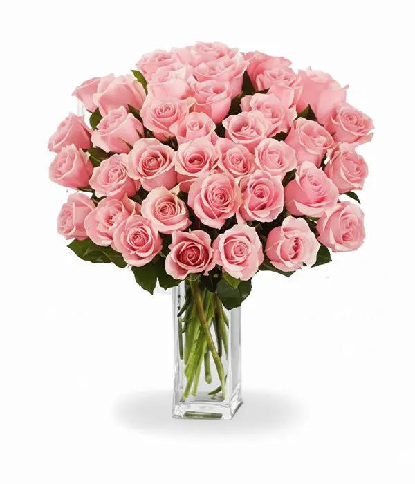 Three Dozen Long Stem Pink Roses Fleur Concept