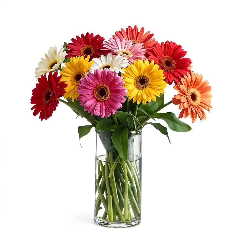 Rainbow Gerbera Bouquet Fleur Concept
