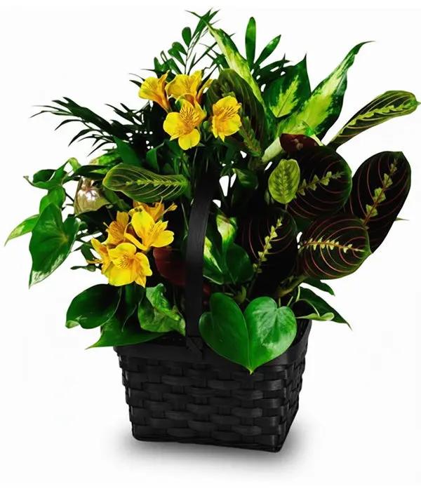 Yellow Blooming Planter Basket Fleur Concept