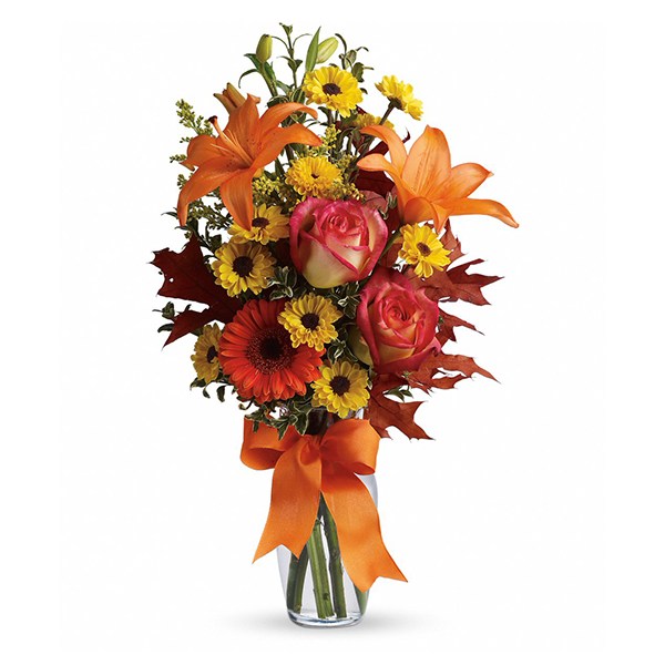 Autumn Burst