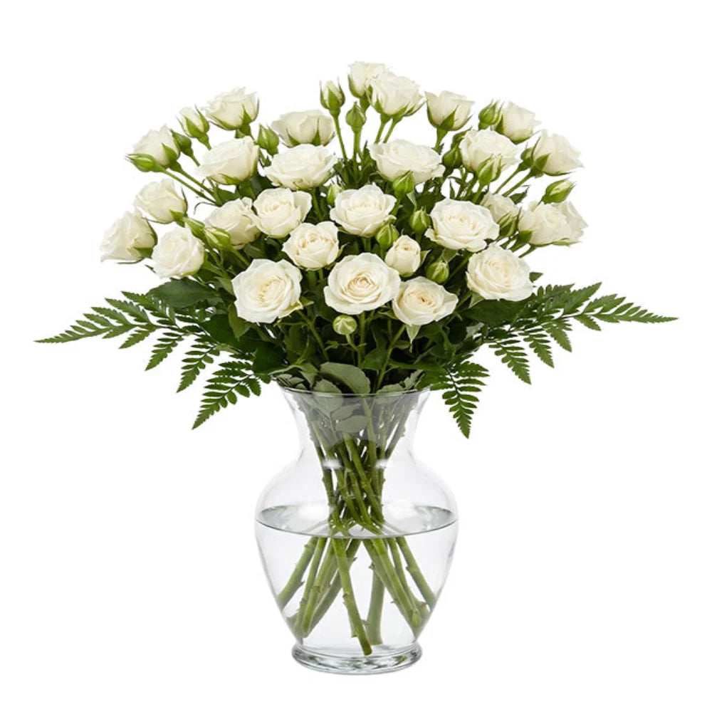 50 Blooms of White Spray Roses Fleur Concept
