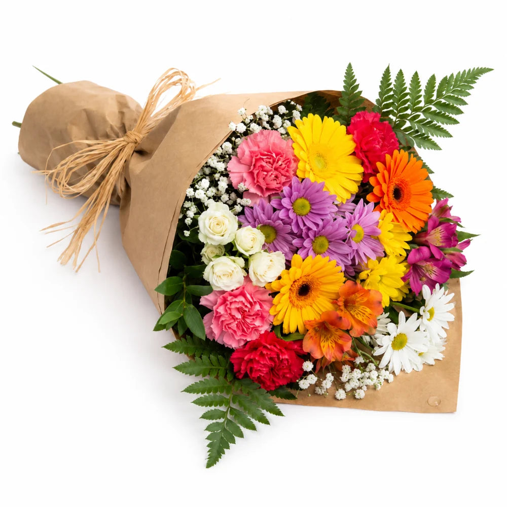 Bright Colours Designer’s Choice Fleur Concept
