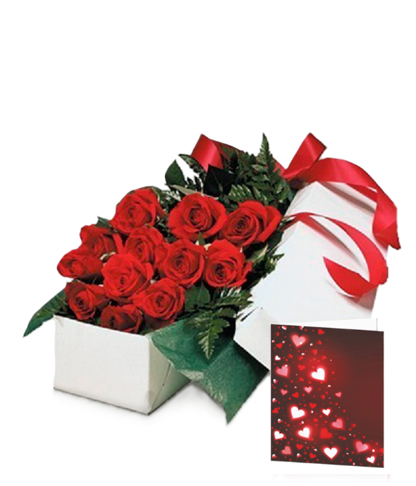 Deluxe Gift Packaging Fleur Concept