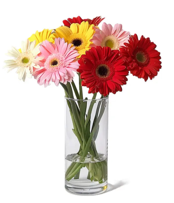 Gorgeous Gerberas Fleur Concept