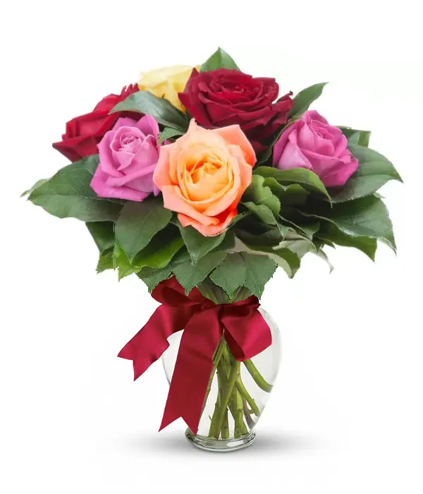 Half Dozen Mixed Long Stem Roses Fleur Concept