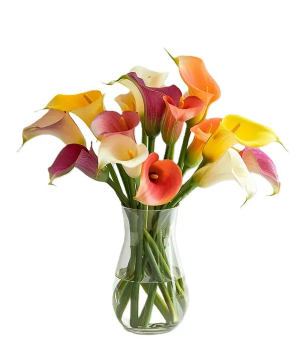Assorted Calla Lilies Fleur Concept