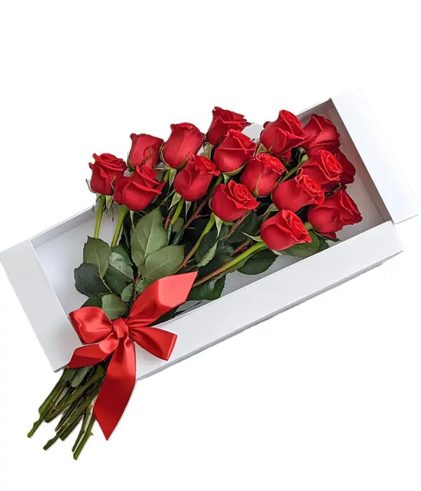 One Dozen Gift Boxed Red Roses Fleur Concept