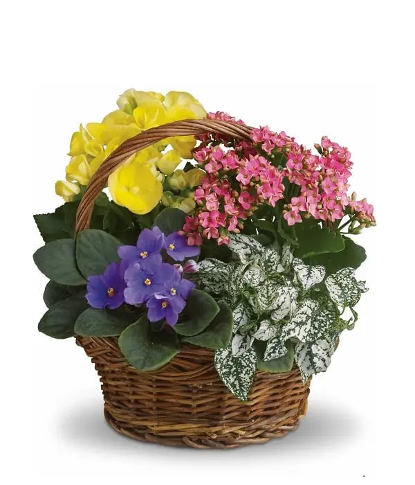 Blooming Planter Basket Fleur Concept