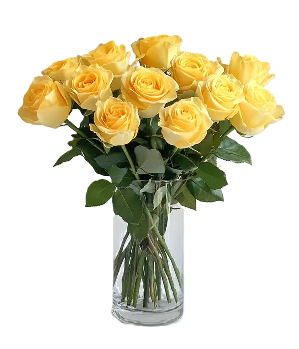 One Dozen Long Stemmed Yellow Roses Fleur Concept