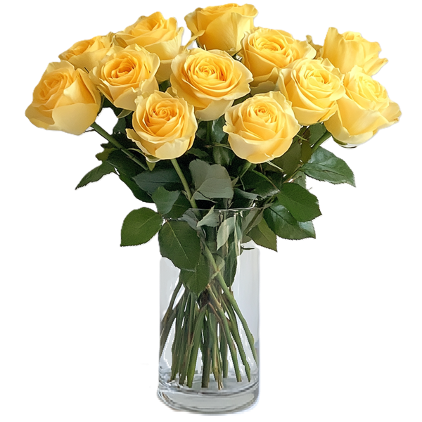 One Dozen Long Stemmed Yellow Roses Fleur Concept