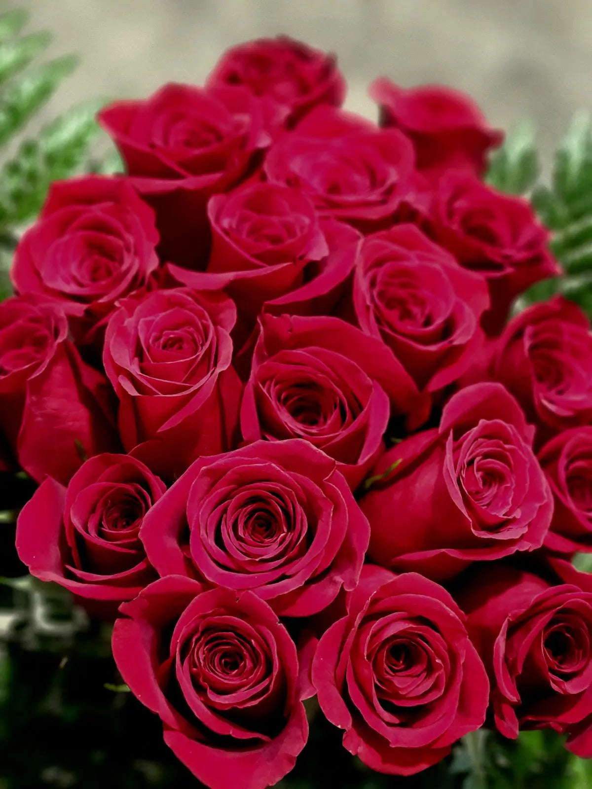 One Dozen Long Stemmed Pink Roses Fleur Concept