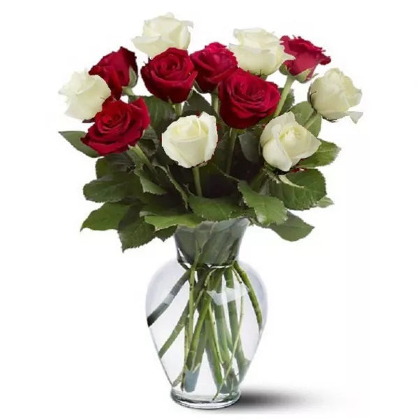 Red and White IV