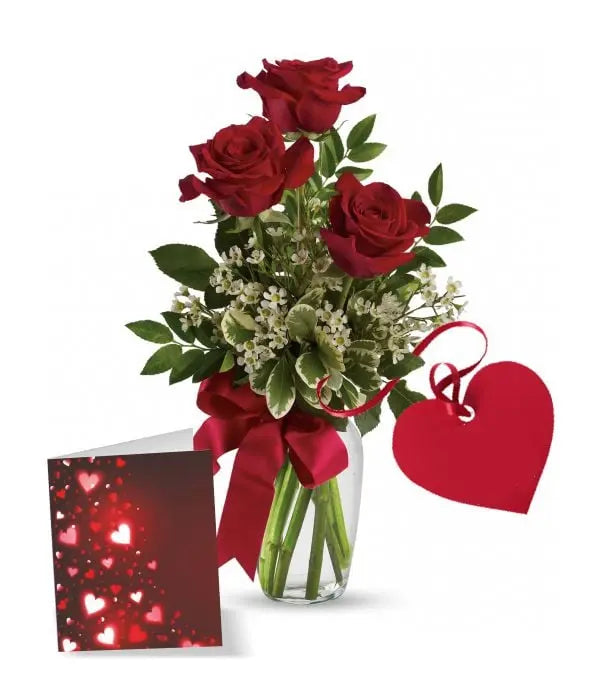 Rose & Card Special Fleur Concept