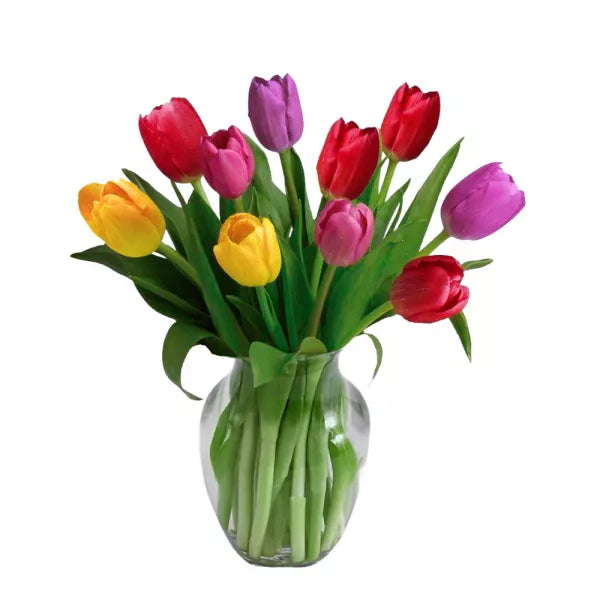 Spring tulips