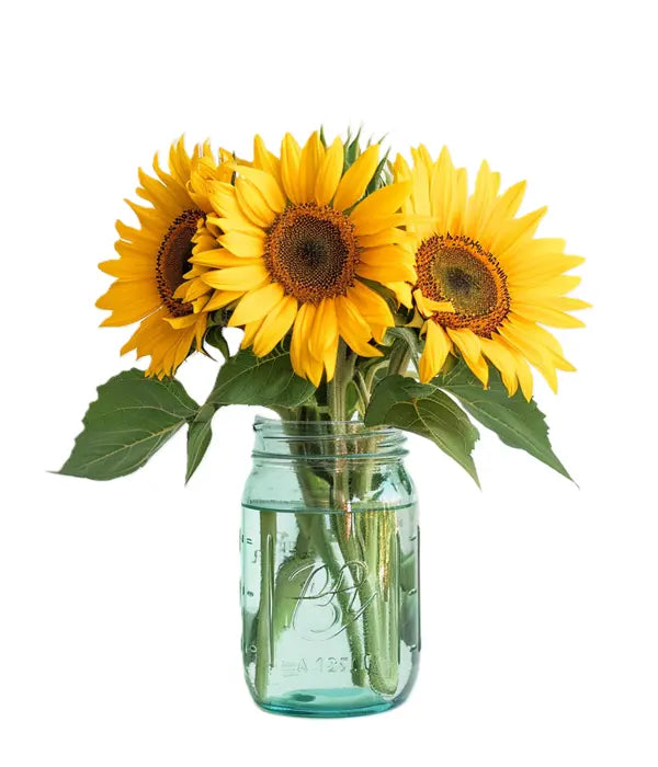 Sunny Sunflowers in Mason Jar Fleur Concept
