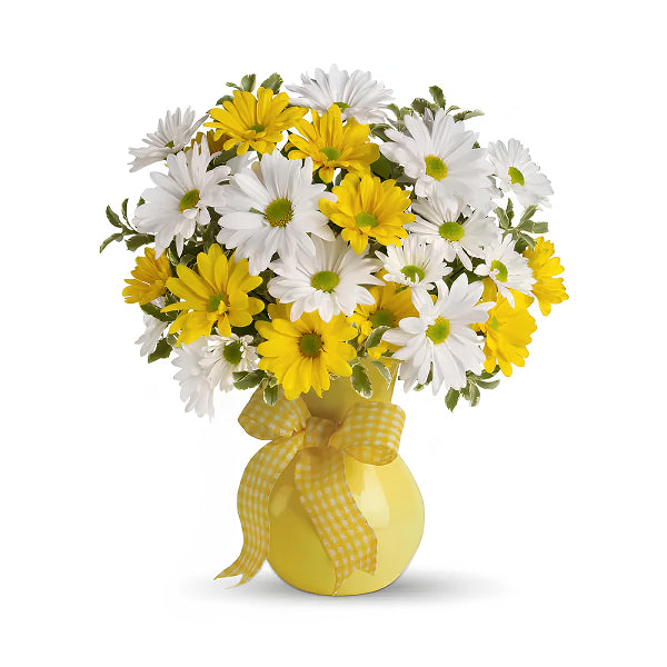 Sunny daisies