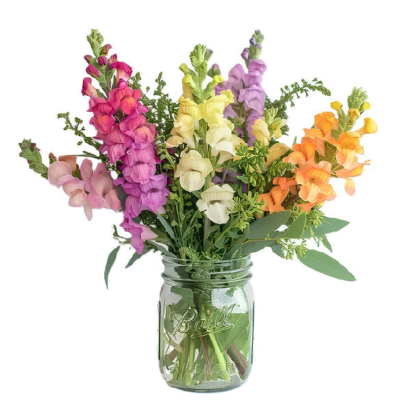Super Snapdragons in a Mason Jar