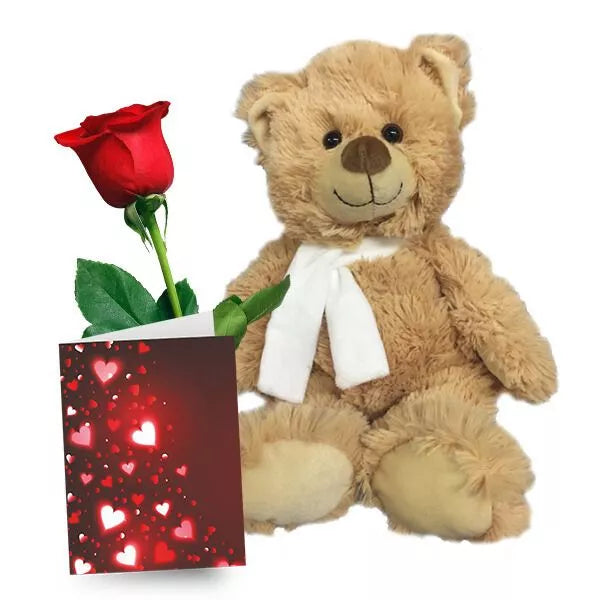 Teddy, Rose and Card