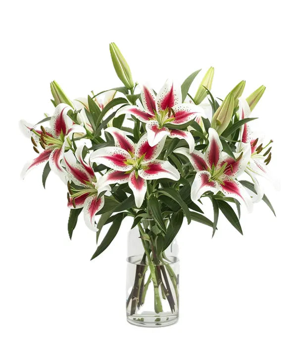 Touch of Class Bouquet Fleur Concept