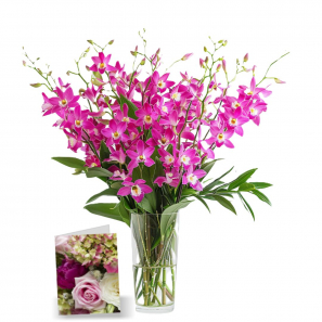 100 Fleurs d'Orchidées de la Fête des Mères I