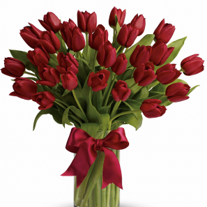 30 Tulipes Rouges buy at Fleur Quebec