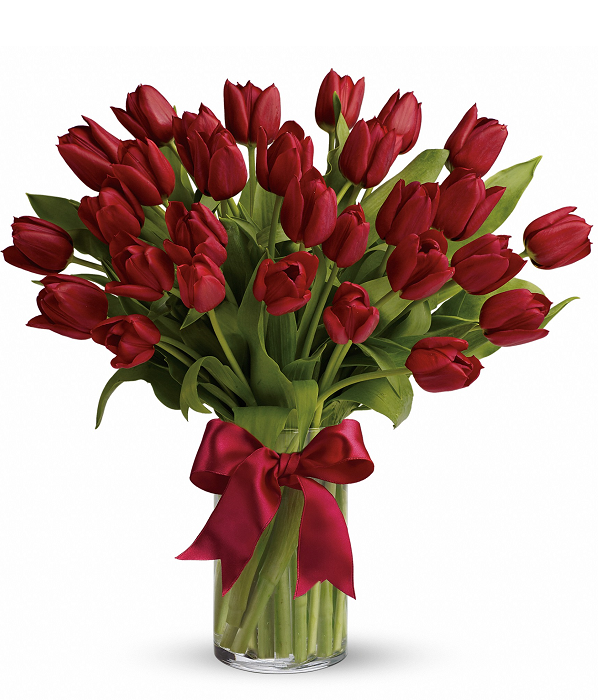 30 Tulipes Rouges buy at Fleur Quebec