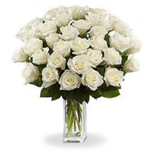 3 Douzaines de Roses Blanches buy at Fleur Quebec