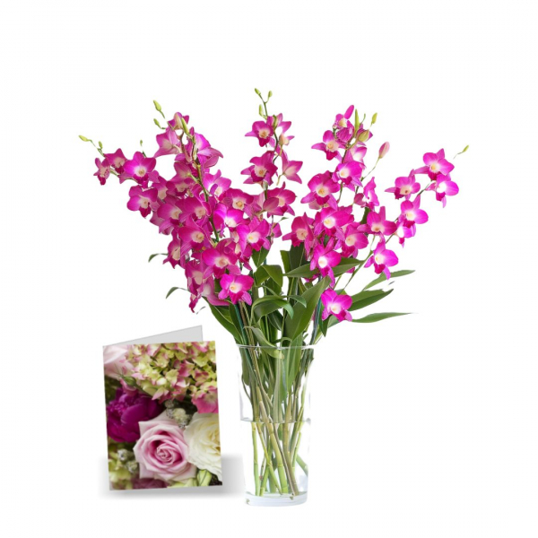 50 Fleurs Orchidées de la Fête des Mères I buy at Fleur Quebec