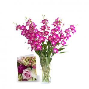50 Fleurs Orchidées de la Fête des Mères I