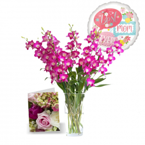 50 Fleurs Orchidées pour la Fête des Mères II buy at Fleur Quebec